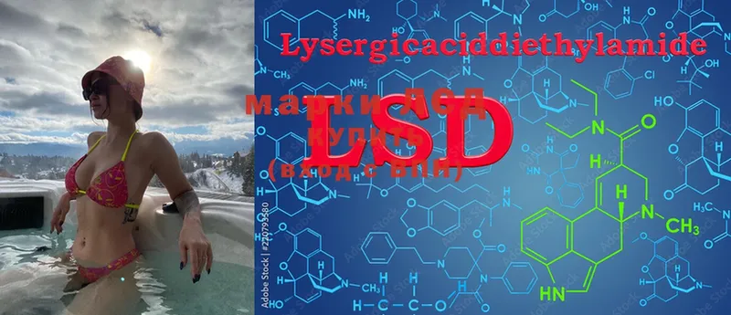 дарк нет как зайти  Менделеевск  LSD-25 экстази ecstasy 